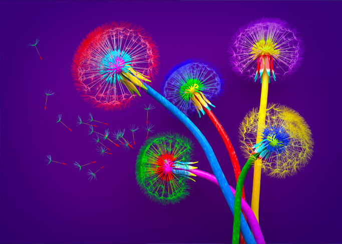 soluciones-graficas-metodo